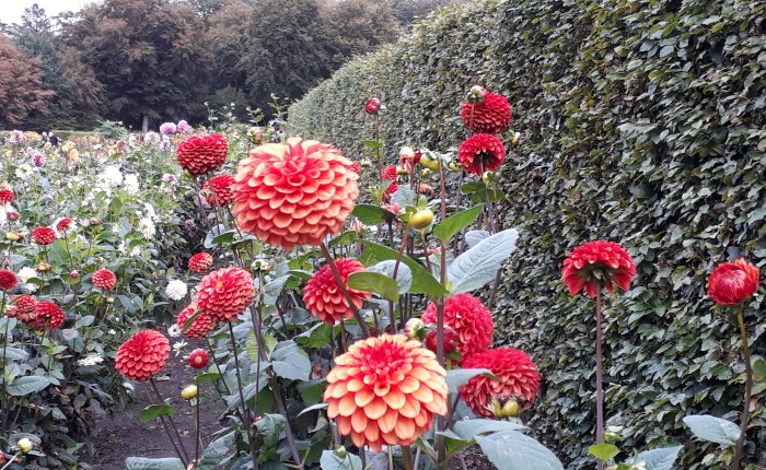 Hungrig im Stau und dazu noch&nbsp;frieren