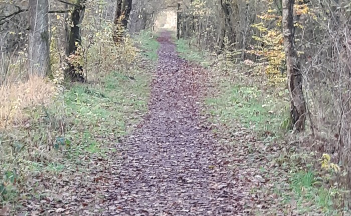 Struktur und Ordnung im&nbsp;Kopf