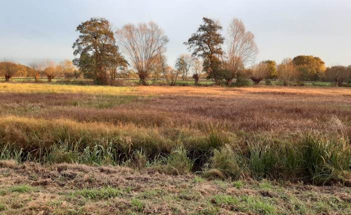 November-Spaziergang