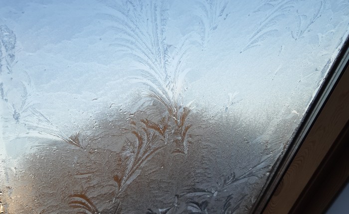 Eisblumen – das Gefühl von&nbsp;Winter