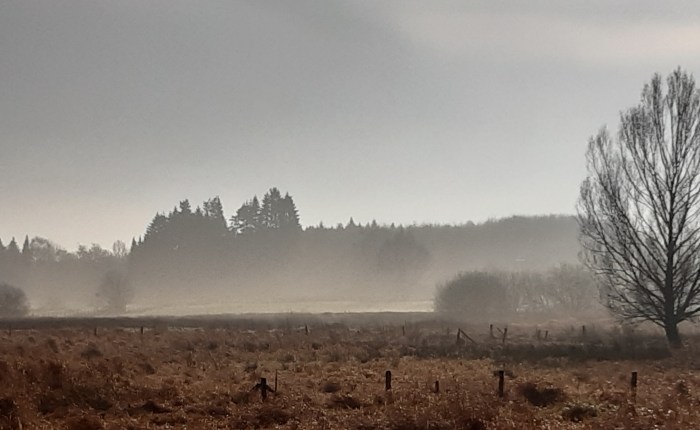 Frühaufstehen am Sonntag