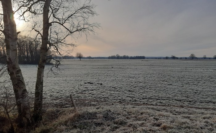 Familien-Weihnachten