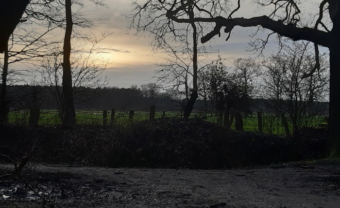 Soweit die Füße&nbsp;tragen