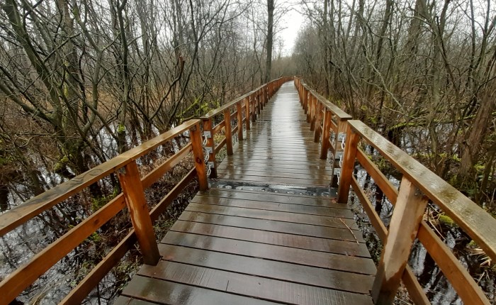 Wandern im Dauerregen