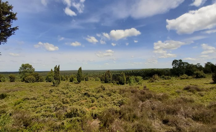 Fahrrad-Tour #4 – Lüneburger&nbsp;Heide