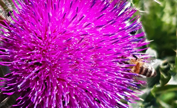 Baustelle im Job und vor dem&nbsp;Fenster