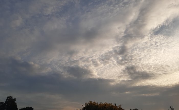 Der Stille zuhören – und dem&nbsp;Herzschlag