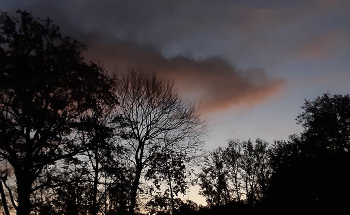 mehr Bewegung – am&nbsp;Morgen