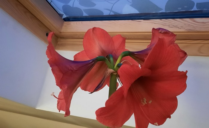 Still und bewegungslos