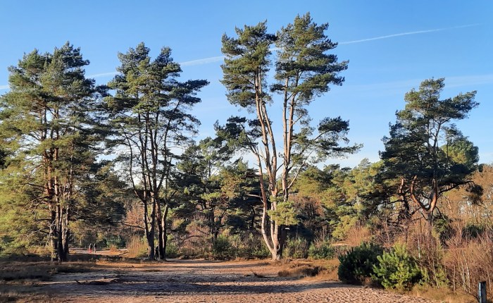 Sonne – ich muss&nbsp;raus