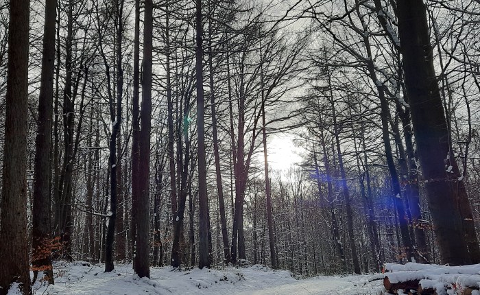 Kleines Familientreffen  – soo&nbsp;schön