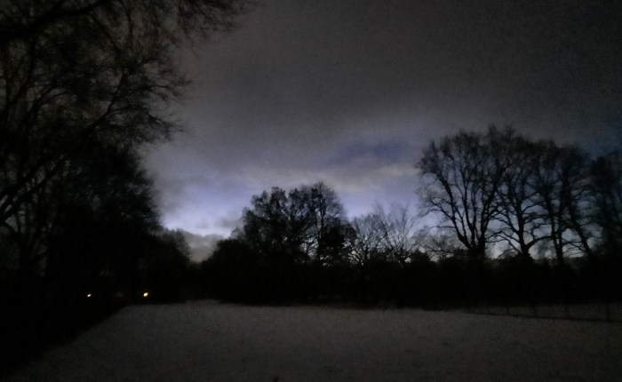 Schneespaziergang – Meditation im Gehen