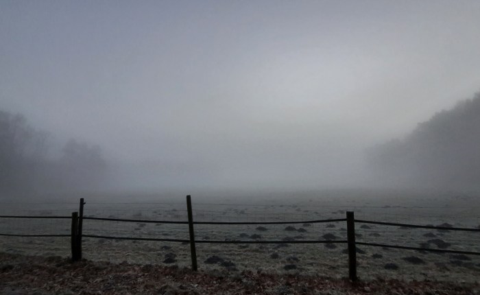 Ein ruhiger Tag: Nebel und&nbsp;Kochen
