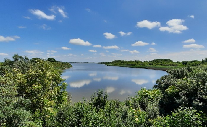 Radtour: Meldorfer Bucht