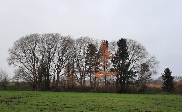 Wieder Sonntagsausflüge