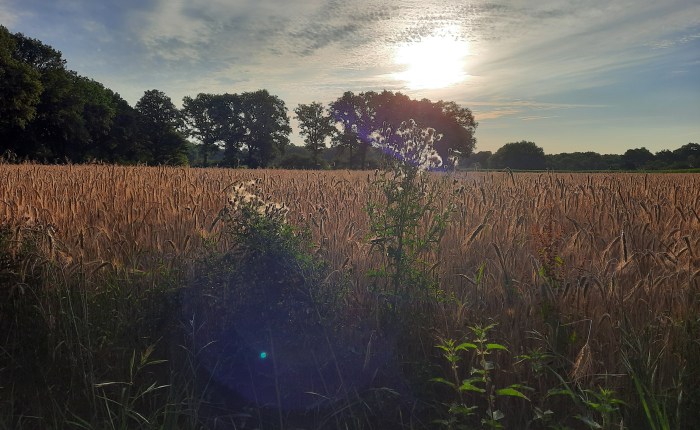 Countdown  zum Urlaub