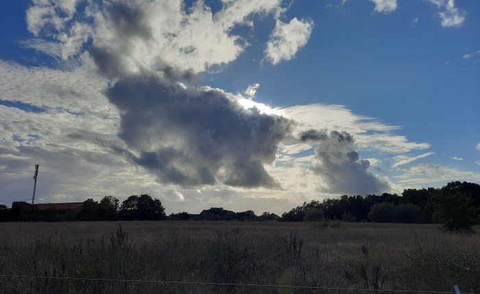 Ist das Wetter nun schön oder&nbsp;nicht…