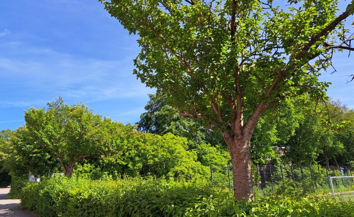 Vom Platzwechsel – im Büro und auf dem&nbsp;Balkon