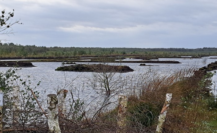 Zu viel unterwegs – zu wenig&nbsp;Erholung