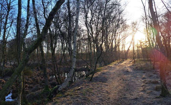 Pause  – zu be&nbsp;continued