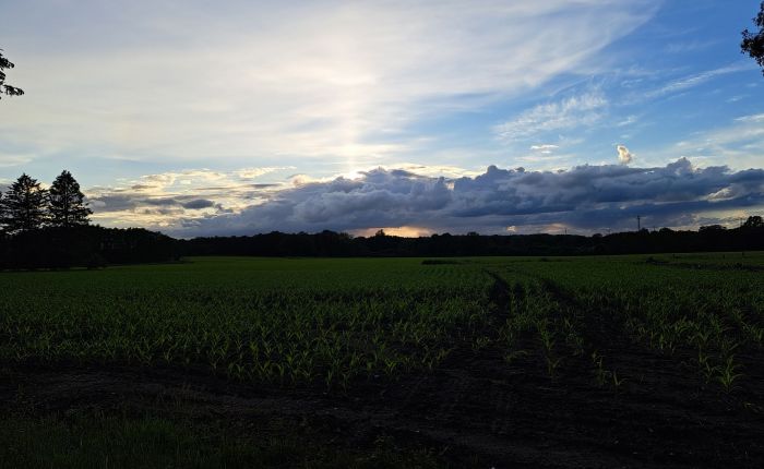 noch mehr Änderungen&nbsp;angekündigt