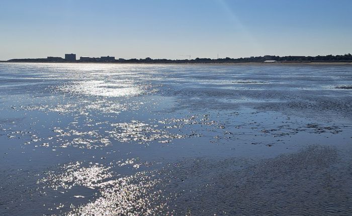 Am Strand und im&nbsp;Meer