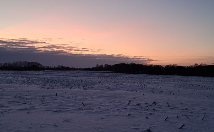 die Problem-Pause-Taste